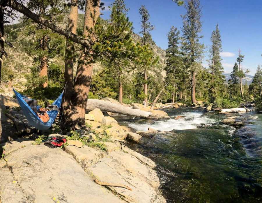 Happy Earth Day!
